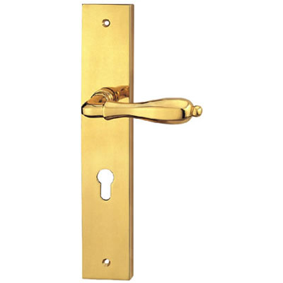 Brass Handle with Plate